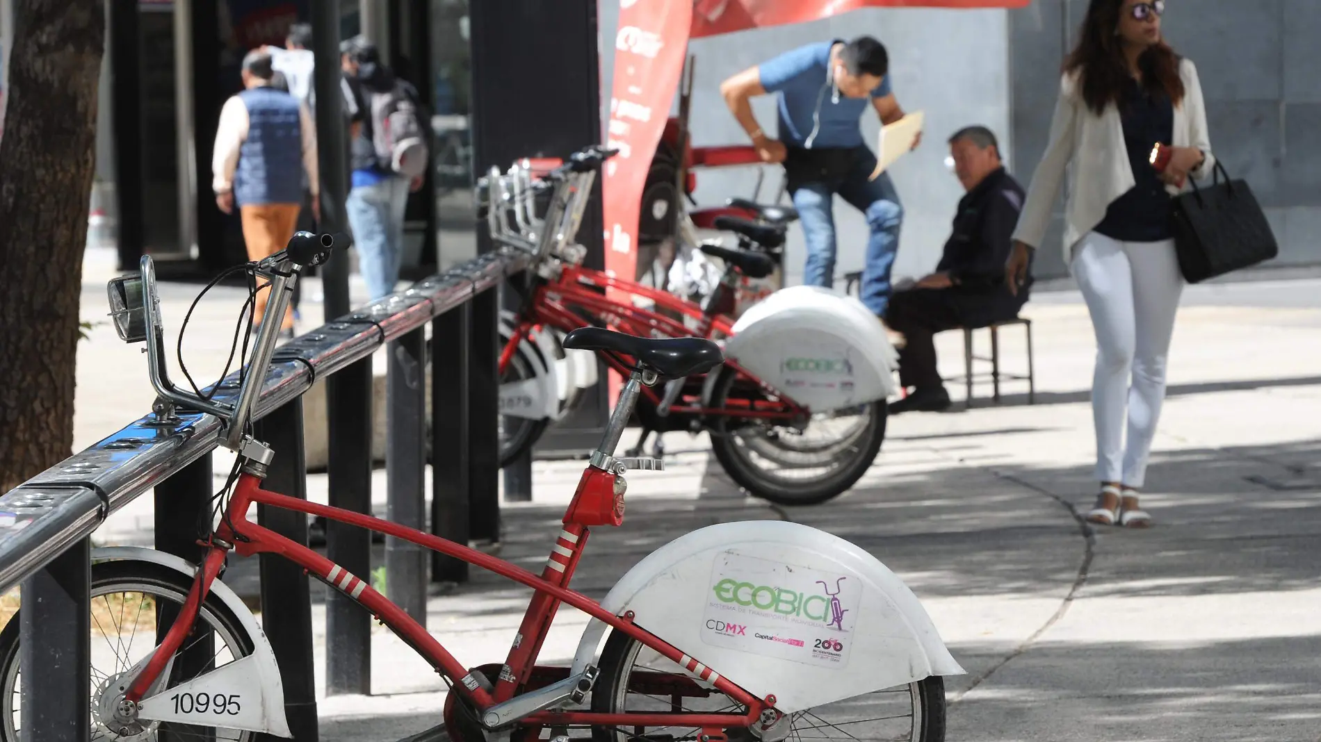 Bicicletas Transporte